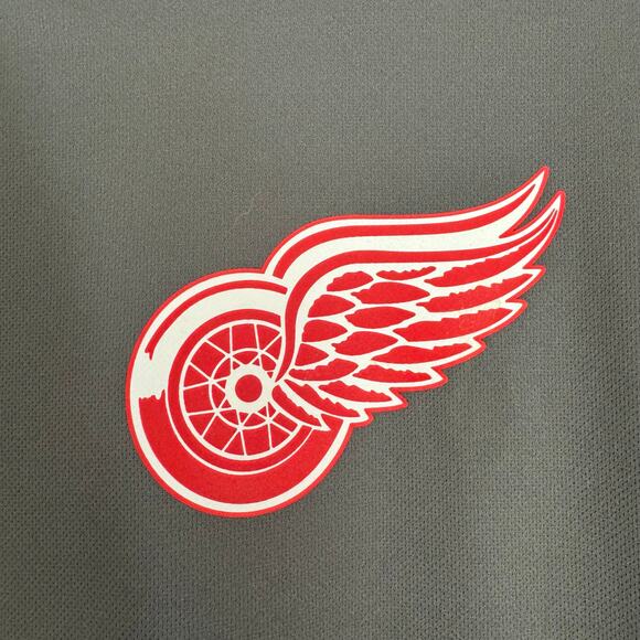 Reebok Detroit Red Wings NHL Athletic Training Hoodie - Picture 3 of 8